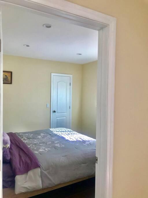 Private Modern Guesthouse With Backyard Los Angeles Luaran gambar